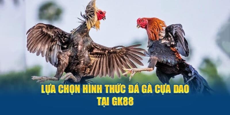 Đá gà cựa dao GK88 hấp dẫn ở độ kịch tính khi thi đấu 