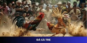 Đá gà tre